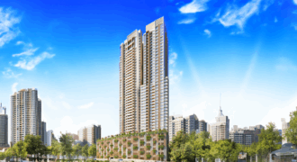 Asmi Legacy – Codeword Roots