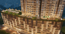 Asmi Legacy – Codeword Roots Asmi Legacy – Codeword Roots