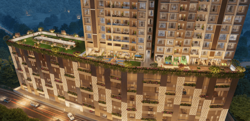 Asmi Legacy – Codeword Roots